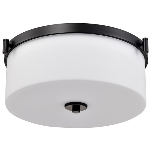 Nuvo Lighting - 60-8217 - Three Light Flush Mount - Liam - Matte Black