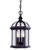 Savoy House - 5-0635-BK - Three Light Hanging Lantern - Kensington - Textured Black