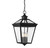 Ellijay Four Light Outdoor Hanging Lantern (5-145-BK)