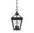 Savoy House - 5-146-BK - Three Light Hanging Lantern - Ellijay - Black