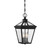 Ellijay Three Light Hanging Lantern (5-146-BK)