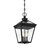 Ellijay Three Light Hanging Lantern (5-146-BK)