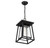 Denver One Light Outdoor Hanging Lantern (5-2025-BK)