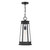 Savoy House - 5-208-BK - One Light Outdoor Hanging Lantern - Payne - Matte Black