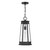 Payne One Light Outdoor Hanging Lantern (5-208-BK)