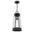 Payne One Light Outdoor Hanging Lantern (5-208-BK)