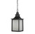 Monte Grande Three Light Hanging Lantern (5-256-13)