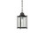 Savoy House - 5-3455-BK - One Light Hanging Lantern - Dunnmore - Black