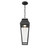 Brookline LED Outdoor Hanging Lantern (5-357-BK)
