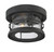 Barrett One Light Flush Mount (5-369)