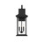 Hancock Three Light Outdoor Wall Sconce (5-452-BK)