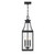 Emery Three Light Outdoor Hanging Lantern (5-608-BK)