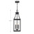 Emery Three Light Outdoor Hanging Lantern (5-608-BK)