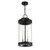 Englewood Three Light Outdoor Hanging Lantern (5-901-BK)