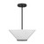 Blair Three Light Convertible Semi-Flush /Pendant (6-4012-3-89)