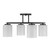 Herron Four Light Semi-Flush Mount (6-4693-4-89)