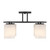 Herron Four Light Semi-Flush Mount (6-4693-4-89)