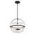 Denmar Four Light Convertible Semi-Flush/Pendant (6-4723-4-89)