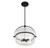 Denmar Four Light Convertible Semi-Flush/Pendant (6-4723-4-89)