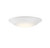 LED Disc Light (6-5CCT-6-WH)