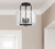Avalon Three Light Semi-Flush Mount (6-7790-3-89)