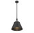 Willis One Light Pendant (7-4499-1-89)