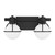 Pierce Two Light Bathroom Vanity (8-1060-2-BK)