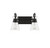 Lakewood Two Light Bathroom Vanity (8-1830-2-BK)