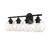 Carson Four Light Bath Bar (8-4050-4-BK)