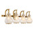 Adams Four Light Bathroom Vanity (8-4417-4-322)