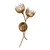 Protea Two Light Wall Sconce (9-6913-2-329)