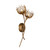 Protea Two Light Wall Sconce (9-6913-2-329)