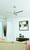 manufacturer_finish:Brushed Polished Nickel/Brushed Polished Nickel