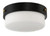 Oak Street Two Light Flushmount (X3214-FB)