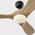 manufacturer_finish:Midnight Black/Natural Honey
