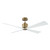 manufacturer_finish:Hand Rubbed Antique Brass/Matte White|fan_control:Handheld Remote 6-speed Reverse