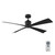 manufacturer_finish:Midnight Black/Midnight Black|fan_control:Handheld Remote 6-speed Reverse