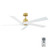 manufacturer_finish:Burnished Brass/Matte White|fan_control:Handheld Remote 6-speed Reverse
