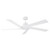 manufacturer_finish:Matte White/Matte White|fan_control:Handheld Remote 6-speed Reverse