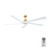 manufacturer_finish:Burnished Brass/Matte White|fan_control:Handheld Remote 6-speed Reverse