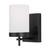 manufacturer_finish:Midnight Black|light_source:Unspecified|light_output:800.00lm|color_temperature:3000K|cri:90