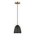 manufacturer_finish:Satin Brass|manufacturer_glass:Midnight Black|light_output:800.00lm|color_temperature:3000K|cri:90