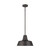 manufacturer_finish:Antique Bronze|light_output:Unspecified|color_temperature:Unspecified|cri:Unspecified
