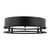 manufacturer_finish:Black