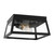 manufacturer_finish:Black|light_output:Unspecified|color_temperature:Unspecified|cri:Unspecified