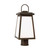 manufacturer_finish:Antique Bronze|light_output:800.00lm|color_temperature:3000K|cri:90