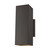 manufacturer_finish:Bronze|light_source:Unspecified|light_output:Unspecified|color_temperature:Unspecified|cri:Unspecified