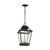 Falmouth Four Light Hanging Lantern (CO1054DWZ)