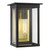 Freeport One Light Outdoor Wall Lantern (CO1101HTCP)