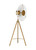 Ultra Light LED Floor Lamp (CT1151BBS)